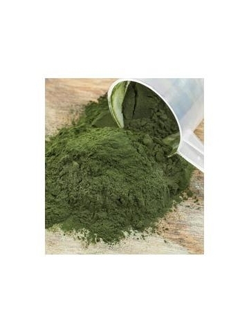 Spirulina Pacifica® hawajska w proszku (180 g) - suplement diety