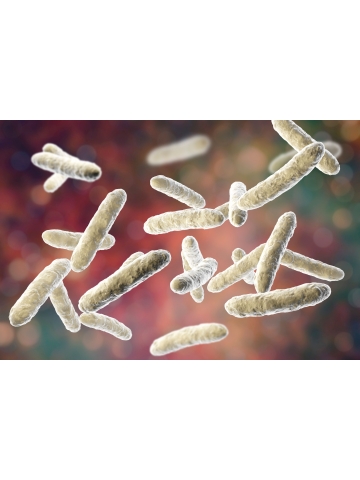 Postbiotyk Lactobacillus plantarum L-137™ (60 kapsułek) - suplement diety