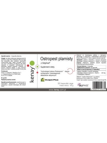 Ostropest plamisty z Siliphos® (60 kapsułek) - suplement diety